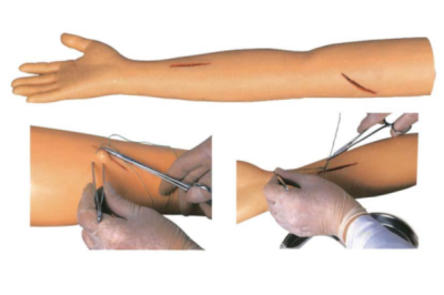 MODELO DIDACTICO DEL BRAZO PARA REALIZAR PRACTICAS DE SUTURA 1