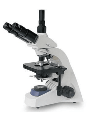 MICROSCOPIO TRIOCULAR ESTATIVA CURVA INFINITO PLANOCROMATICO1