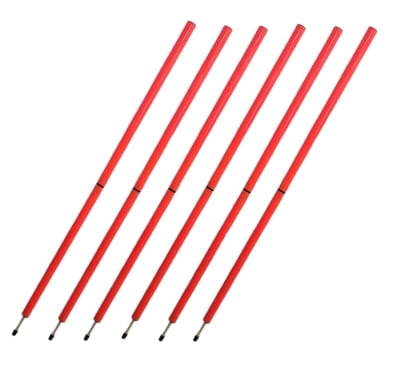 PACK DE 6 POSTES DE ENTRENAMIENTO CON ESTACA 150 CM1