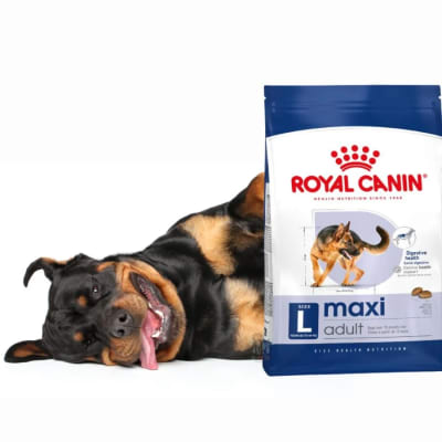 ALIMENTO ROYAL CANIN ADULTO MAXI 18 KG SIZE HEALTH NUTRITION