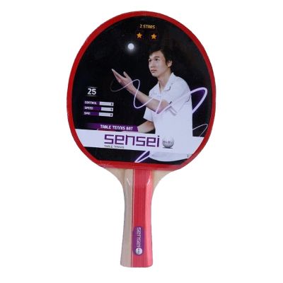 PALETA DE PING PONG SENSEI 2 ESTRELLAS