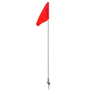 SET BANDERIN DE CORNER PASTO NATURAL1