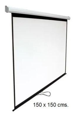 TELON MURAL VIEWSONIC 150X150 CMS.1