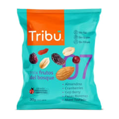 Mix de frutos del bosque 30gr x 128un