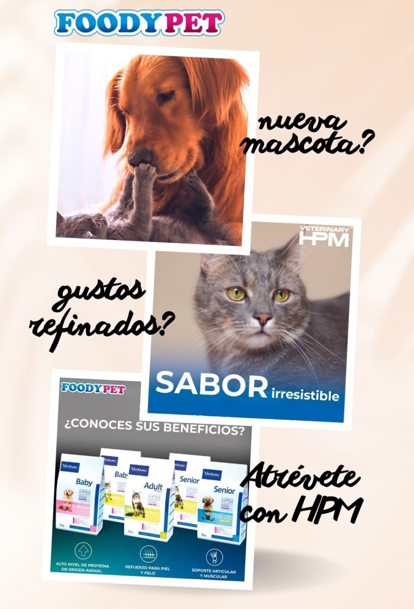VirbacCat FOODYPET ALIMENTOS Y FARMACIA VETERINARIA