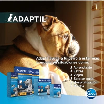 Adaptil difusor 48ml + repuesto