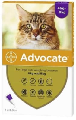 Advocate Gato de 4 a 8 Kg