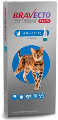 Bravecto Plus Gato 2,8 a 6,25 kg