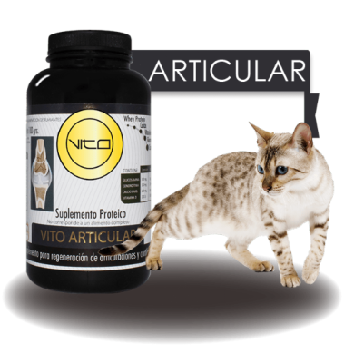 Vito Gato Articular 100 gr 