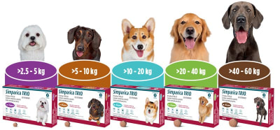 Simparica Trio 2,6 a 5 kg 1 comp.