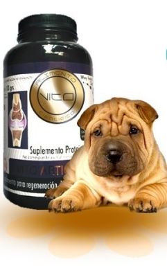 Vito Perro Articular 300 gr 