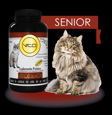 Vito Gato Senior 100 gr