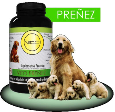 Vito Preñez 300 grs 