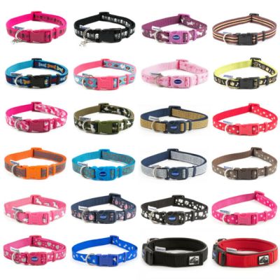Zeedog Collar Medium