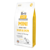 Brit Care Mini GF Hair & Skin 2 kg1