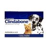 Clindabone 20 comp 165 mg1