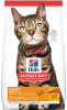 Hill's Adult Felino Light 3.17 Kg1