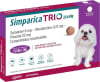 Simparica Trio 2,6 a 5 kg 1 comp.1
