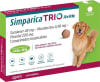 Simparica Trio 20 a 40 kg 1 comp.1