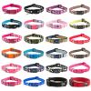 Zeedog Collar Medium1