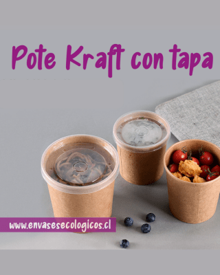 collection/pote kraft tapa plastica