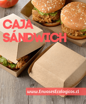 collection/caja hamburguesa