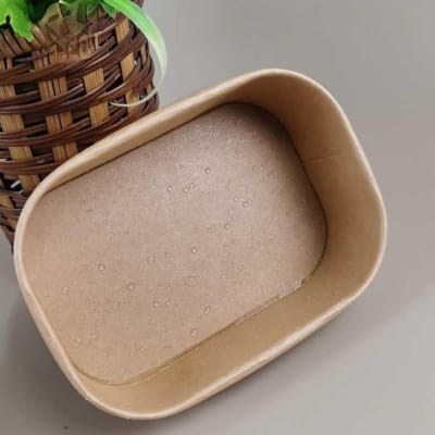 Tupper kraft 750ml con tapa kraft (25 unidades)