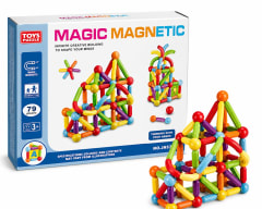 Stick Magentic 79pcs