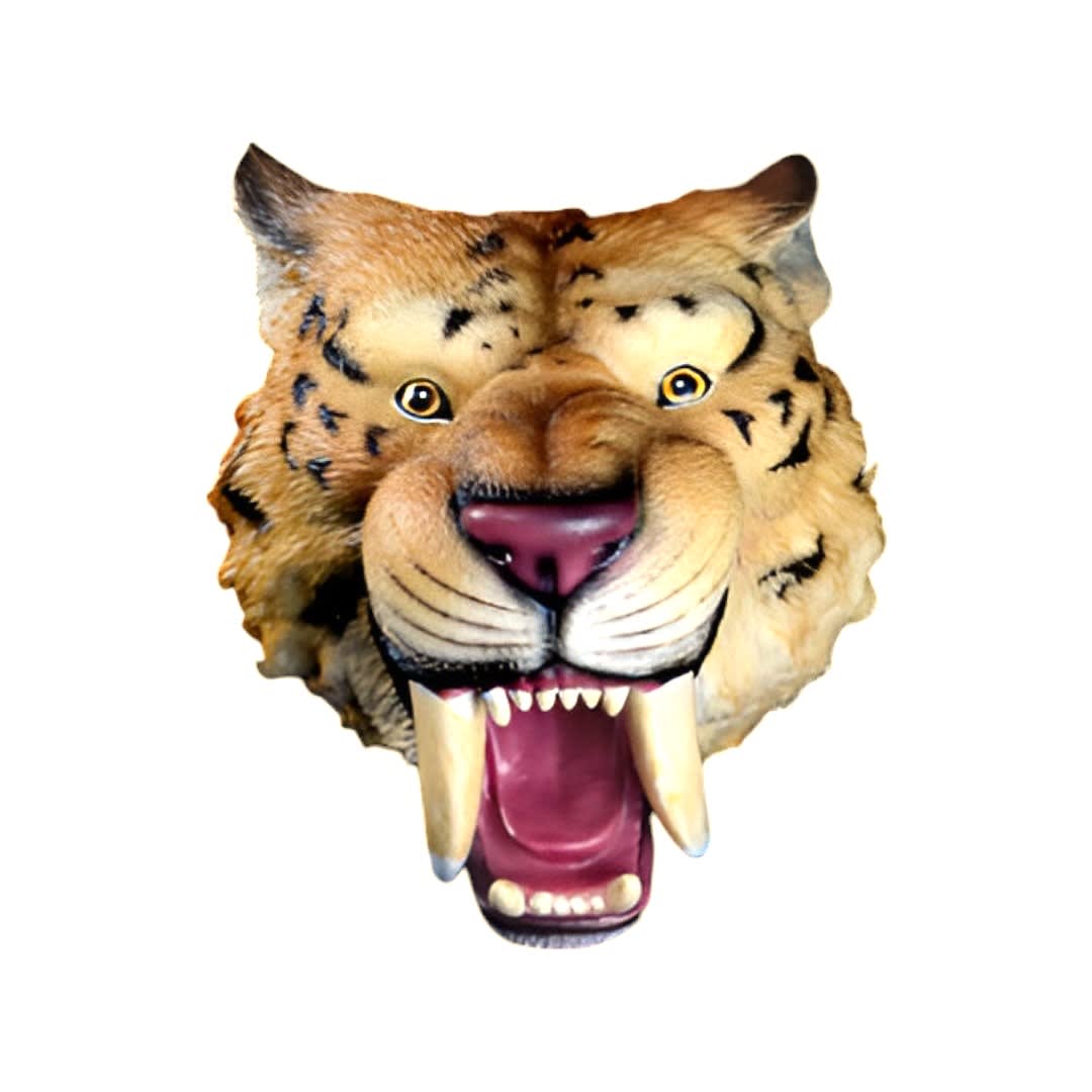 TITERES DE MANO  TIGRE DIENTES DE SABLE3