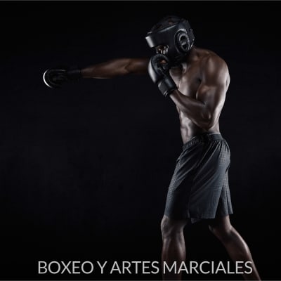 Boxeo y artes marciales
