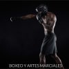 Boxeo y artes marciales