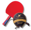 Paleta Ping Pong Modelo T10081 Paleta Ping Pong Modelo T10081