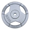 Disco Fierro c/Asas 10Kg1