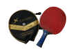 Paleta Ping Pong Modelo T20081