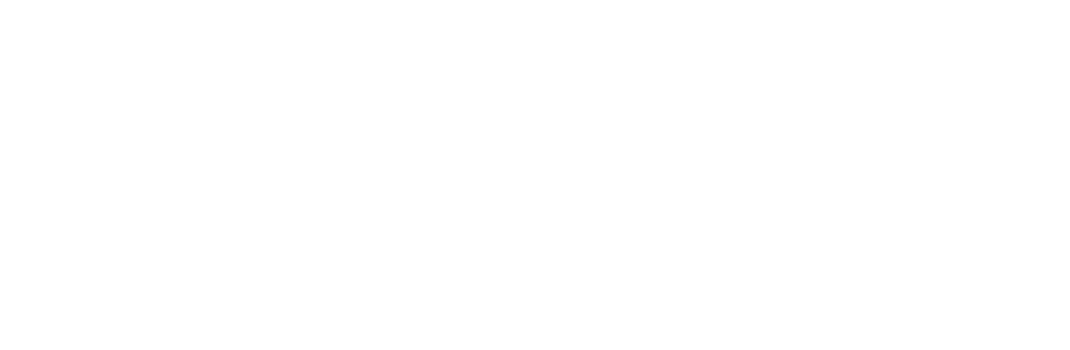 LOS PÁJAROS SECRETOS