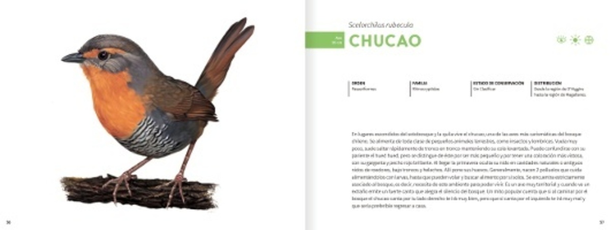 HISTORIA NATURAL DE LOS ANIMALES DEL BOSQUE3