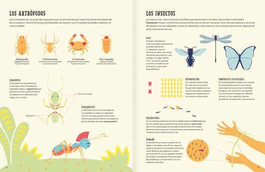 INSECTOPEDIA5