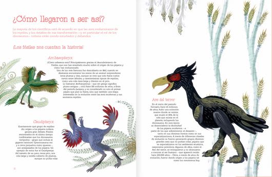 VUELO DE PÁJAROS3