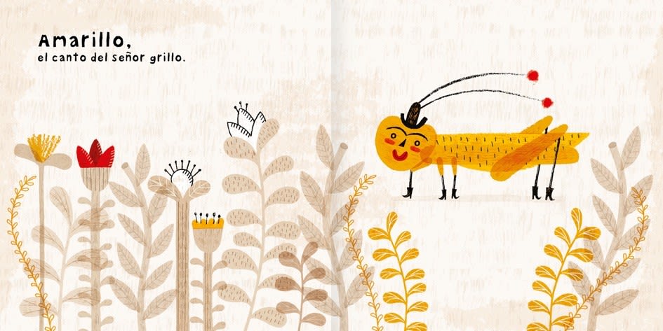 COLORES (AMANUTA)4