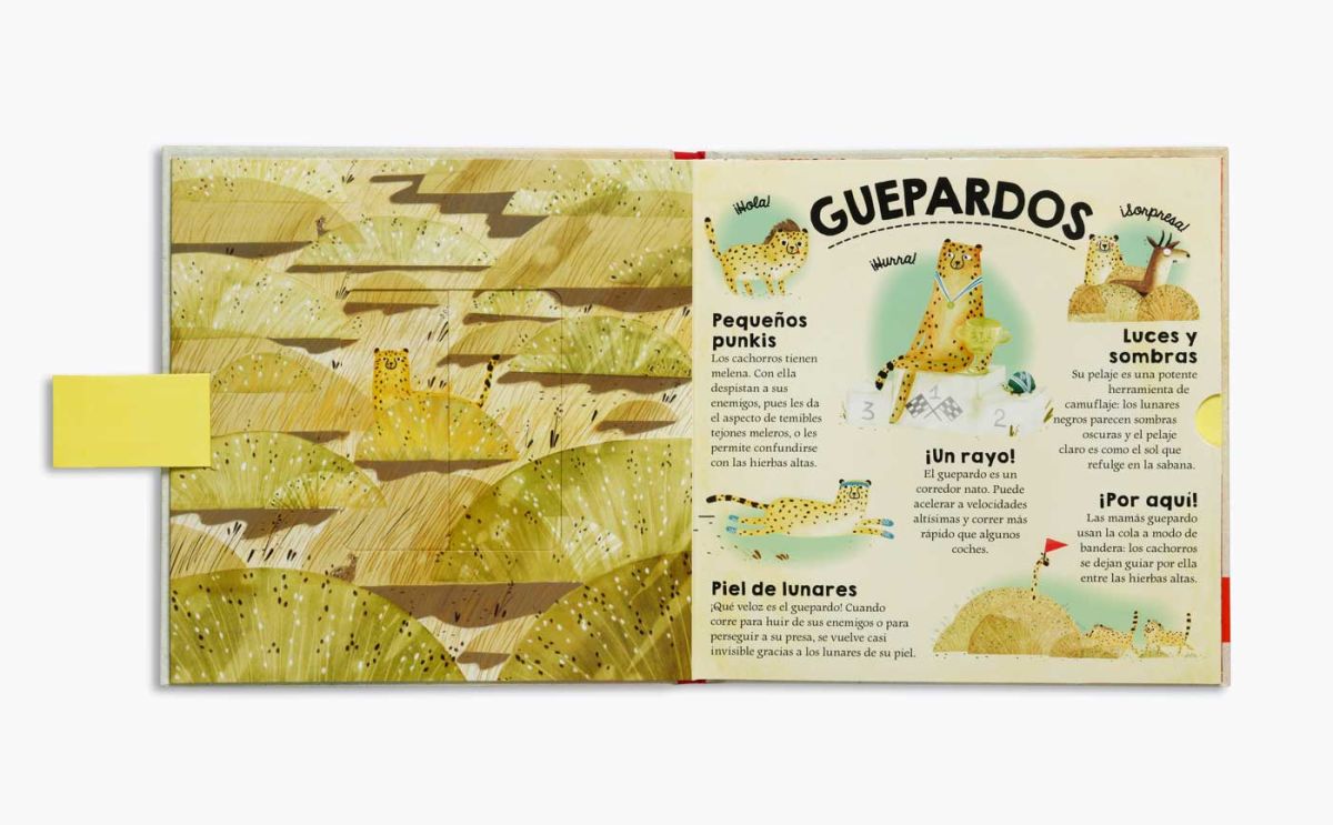 ¿QUIÉN SE ESCONDE EN EL DESIERTO Y EL MAR?3