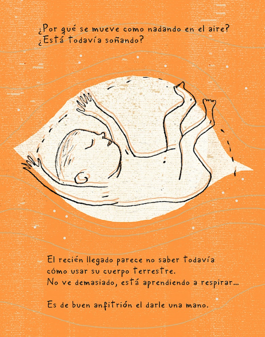 EL MENINO6