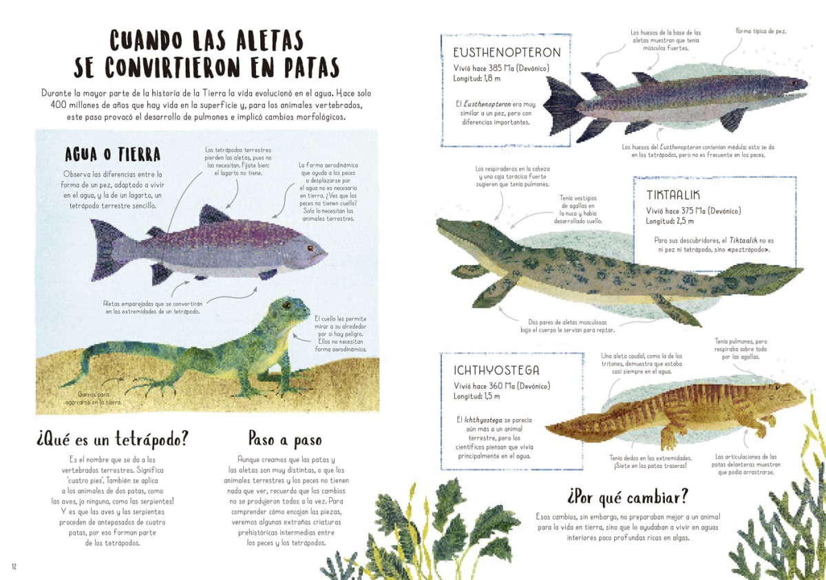 CUANDO LAS BALLENAS CAMINABAN3