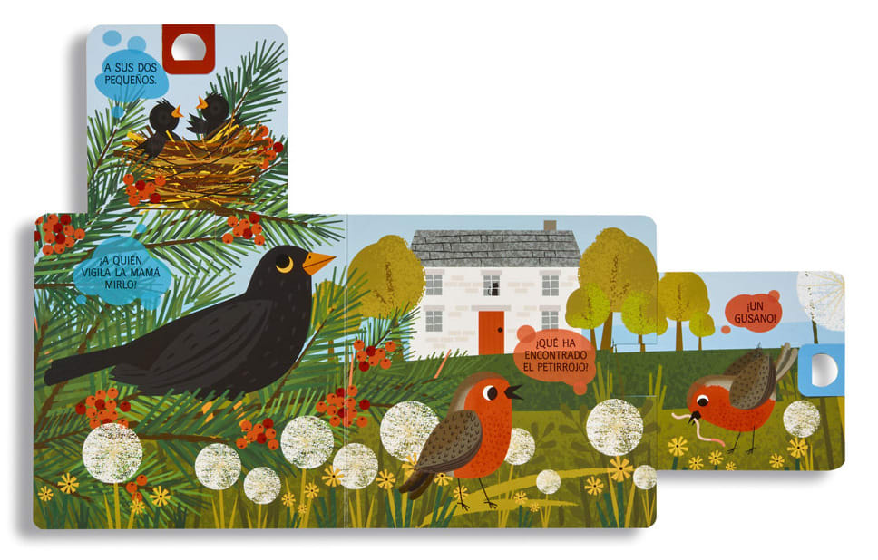 ENCUÉNTRAME PÁJAROS2