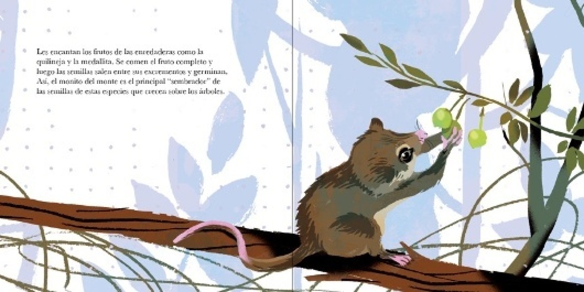 EL MONITO DEL MONTE4