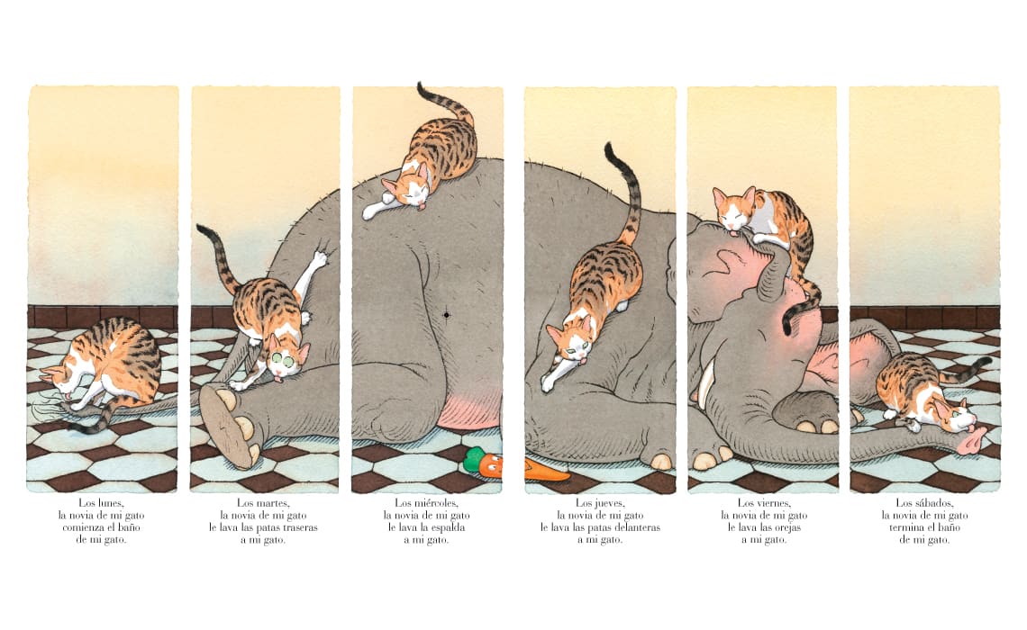 LAS NOVEDADES DE MI GATO2