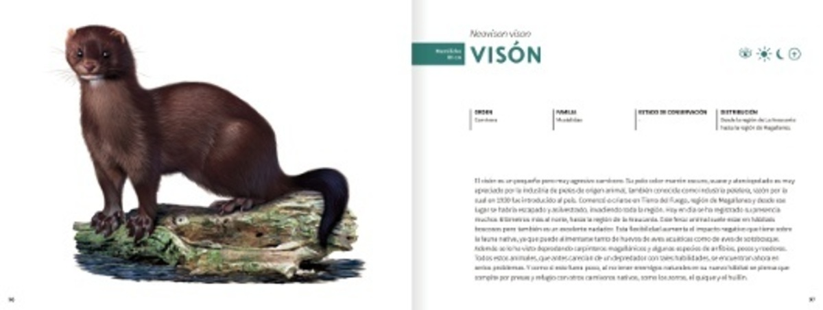 HISTORIA NATURAL DE LOS ANIMALES DEL BOSQUE4