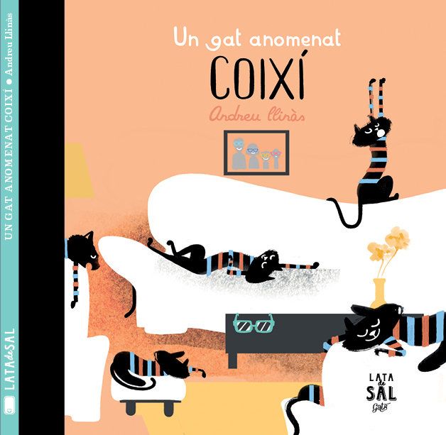 UN GATO LLAMADO ALMOHADA1