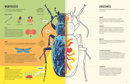 INSECTOPEDIA4