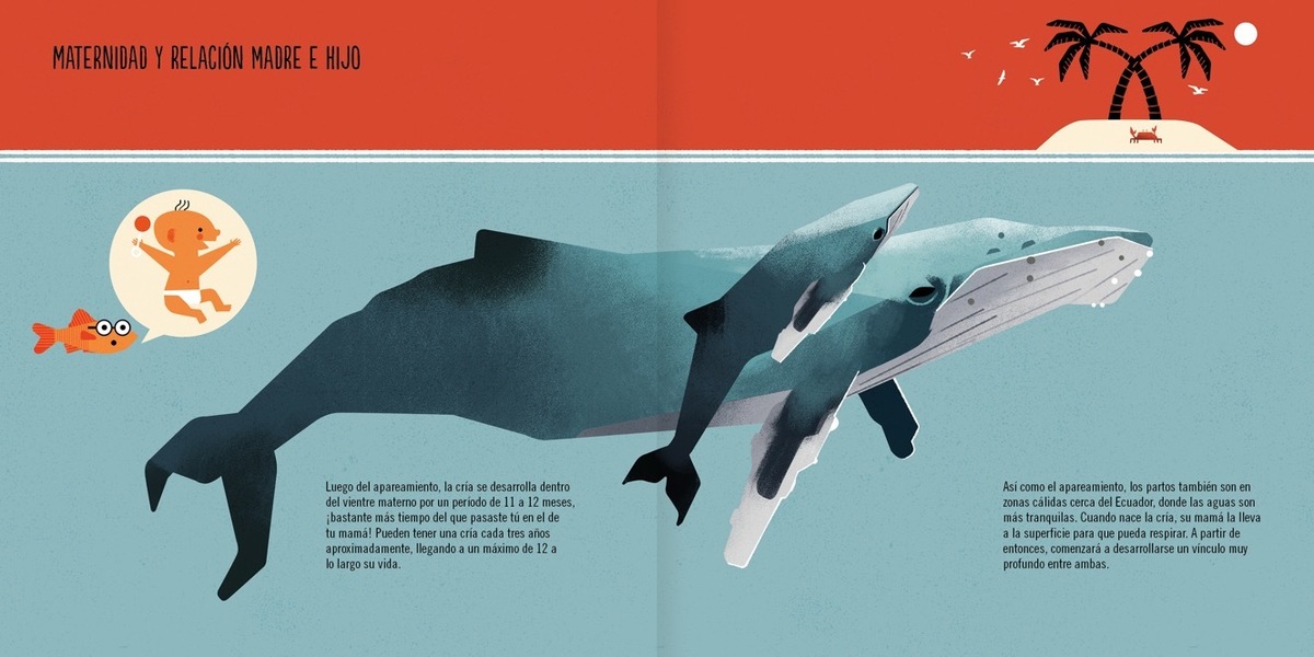 LA BALLENA JOROBADA5