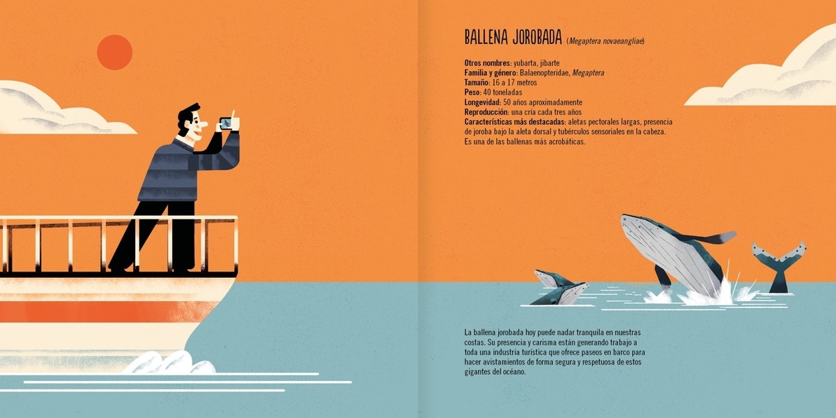 LA BALLENA JOROBADA6